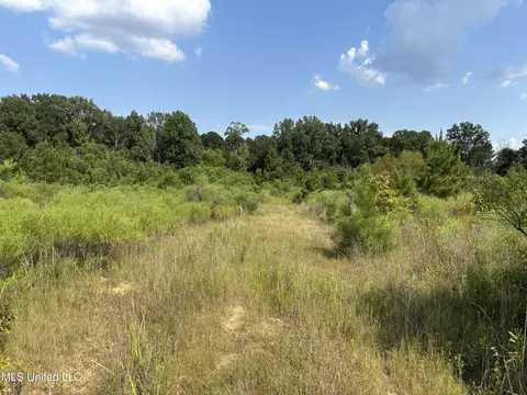 Hilda Drive, Jackson, MS 39213 photo 2