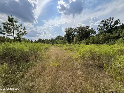 Hilda Drive, Jackson, MS 39213 photo 4