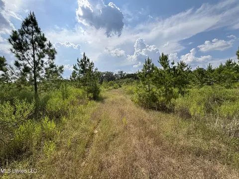 Hilda Drive, Jackson, MS 39213 photo 8