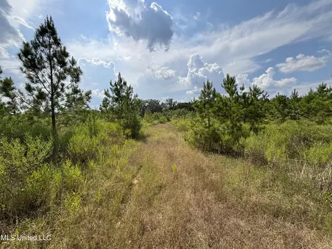 Hilda Drive, Jackson, MS 39213 photo 9