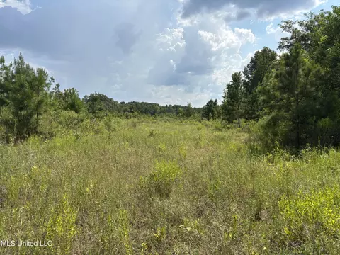 Hilda Drive, Jackson, MS 39213 photo 3