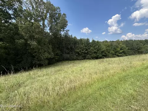 Hilda Drive, Jackson, MS 39213 photo 15