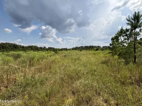 Hilda Drive, Jackson, MS 39213 photo 12