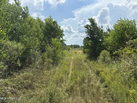 Hilda Drive, Jackson, MS 39213 photo 13