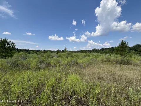 Hilda Drive, Jackson, MS 39213 photo 6