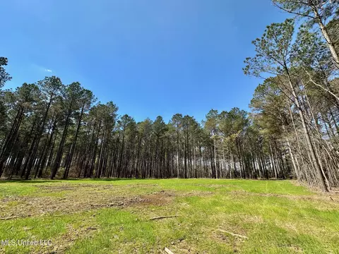 0 Morgan Rd, Canton, MS 39046 photo 6