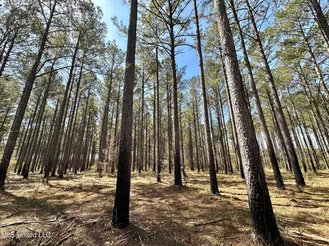 0 Morgan Rd, Canton, MS 39046 photo 7
