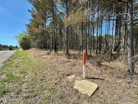 0 Morgan Rd, Canton, MS 39046 photo 3