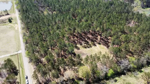 0 Morgan Rd, Canton, MS 39046 photo 17