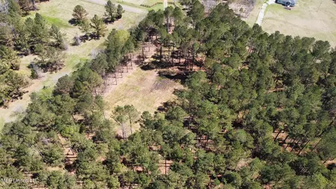 0 Morgan Rd, Canton, MS 39046 photo 16