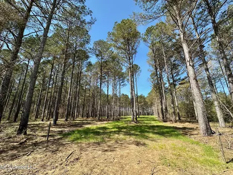 0 Morgan Rd, Canton, MS 39046 photo 4