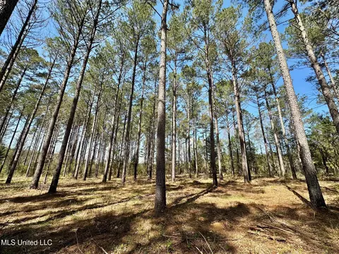 0 Morgan Rd, Canton, MS 39046 photo 8