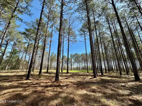 0 Morgan Rd, Canton, MS 39046 photo 9