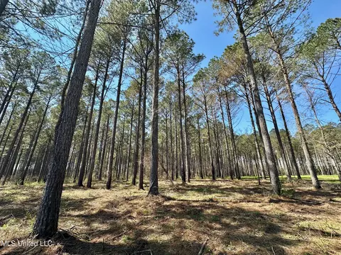 0 Morgan Rd, Canton, MS 39046 photo 5