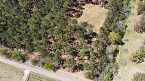 0 Morgan Rd, Canton, MS 39046 photo 14