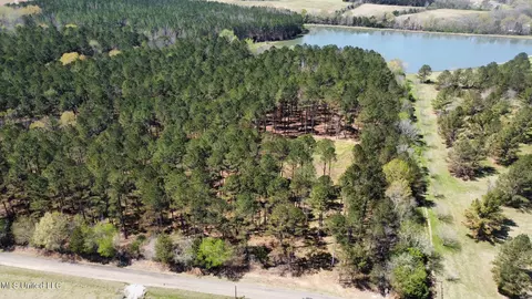 0 Morgan Rd, Canton, MS 39046 photo 12