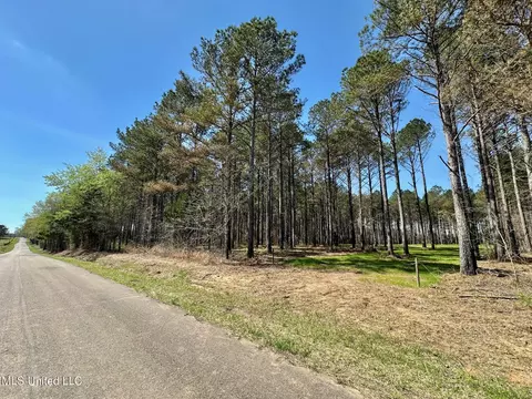 0 Morgan Rd, Canton, MS 39046 photo 2