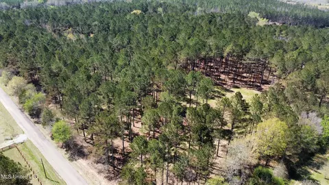 0 Morgan Rd, Canton, MS 39046 photo 11