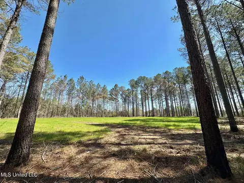 0 Morgan Rd, Canton, MS 39046 photo 10