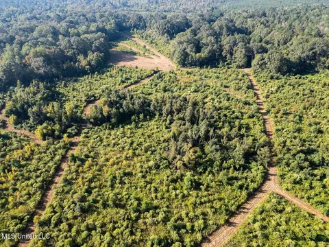 5073 Rollinson Rd, Liberty, MS 39645