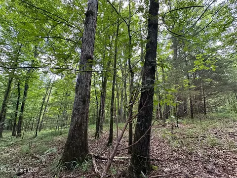 1 Rockport Rd, Lexington, MS 39095