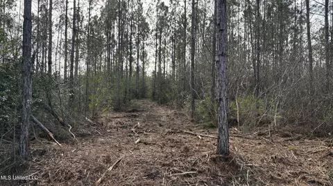 Herman Ladner Road, Saucier, MS 39574 photo 3