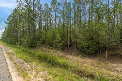 Herman Ladner Road, Saucier, MS 39574 photo 5