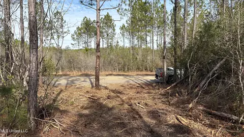 Herman Ladner Road, Saucier, MS 39574 photo 4