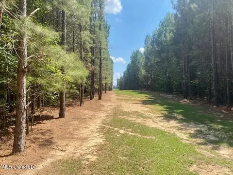 Adams Rd, Smithdale, MS 39664 photo 2