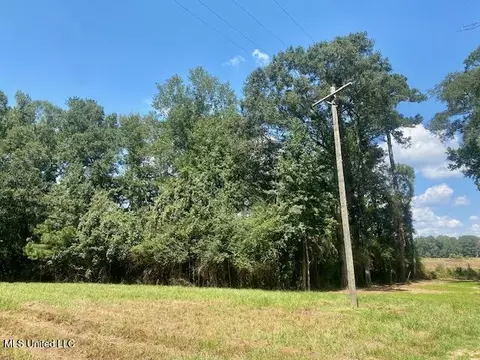 Adams Rd, Smithdale, MS 39664 photo 10