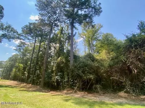 Adams Rd, Smithdale, MS 39664 photo 7