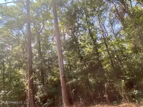 Adams Rd, Smithdale, MS 39664 photo 13