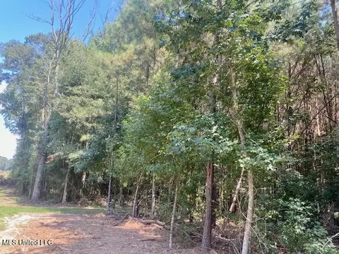 Adams Rd, Smithdale, MS 39664 photo 9