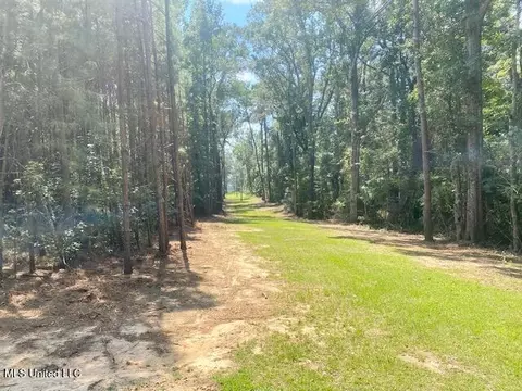 Adams Rd, Smithdale, MS 39664 photo 3