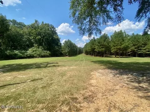 Adams Rd, Smithdale, MS 39664 photo 17