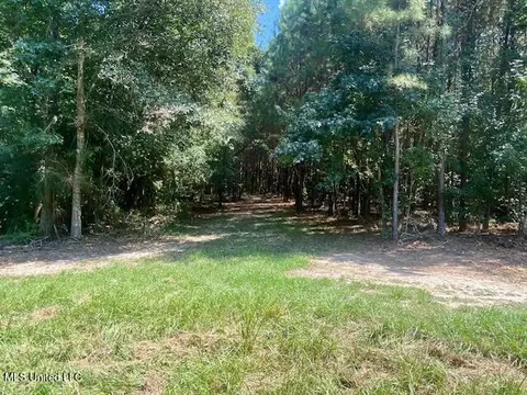 Adams Rd, Smithdale, MS 39664 photo 12