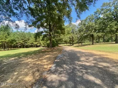 Adams Rd, Smithdale, MS 39664 photo 18