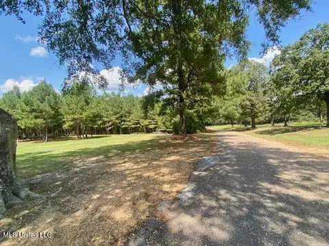Adams Rd, Smithdale, MS 39664 photo 19