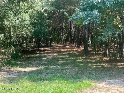 Adams Rd, Smithdale, MS 39664 photo 11