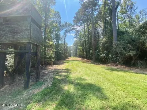 Adams Rd, Smithdale, MS 39664 photo 6