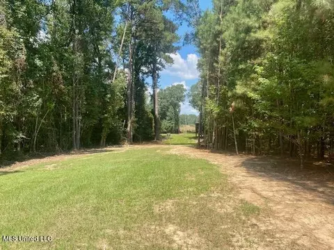 Adams Rd, Smithdale, MS 39664