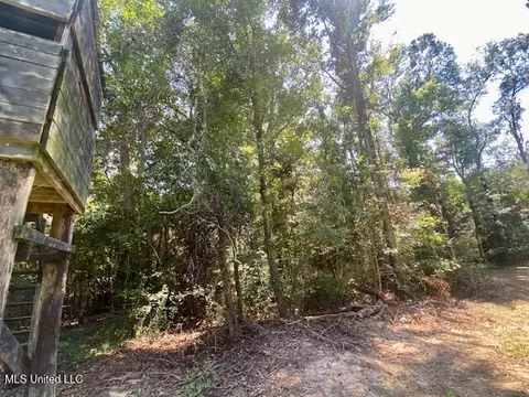 Adams Rd, Smithdale, MS 39664 photo 8