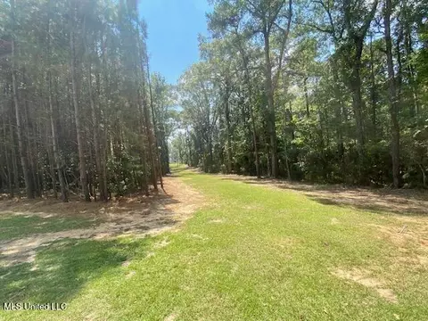 Adams Rd, Smithdale, MS 39664 photo 15
