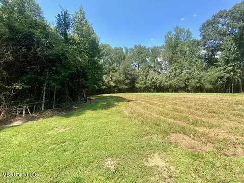 Adams Rd, Smithdale, MS 39664 photo 5
