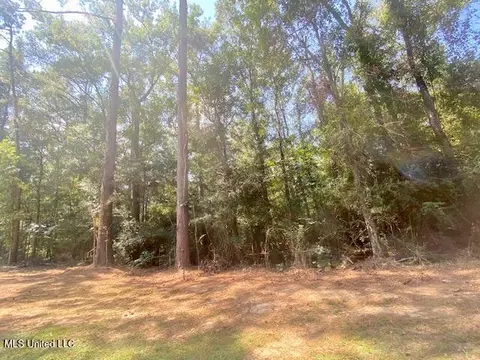 Adams Rd, Smithdale, MS 39664 photo 14