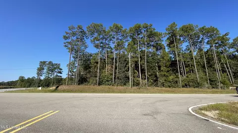 Highway 49, Wiggins, MS 39577 photo 2