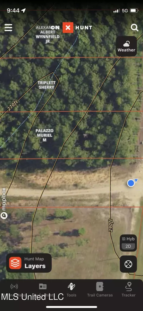 Highway 49, Wiggins, MS 39577 photo 4