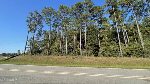Highway 49, Wiggins, MS 39577 photo 8