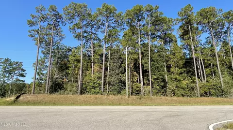 Highway 49, Wiggins, MS 39577 photo 7