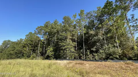 Highway 49, Wiggins, MS 39577 photo 5